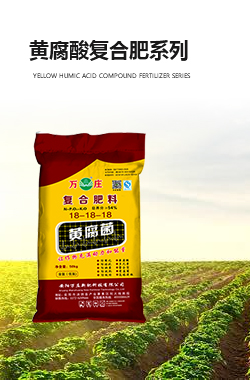 黃腐酸91视频下载网站係列