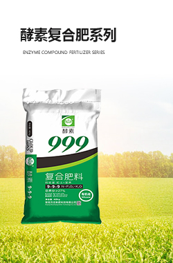 酵素91视频下载网站係列